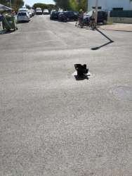 Photo of this report