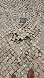 Photo of this report