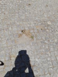 Photo of this report