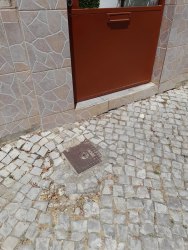 Photo of this report