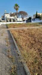 Photo of this report