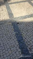 Photo of this report