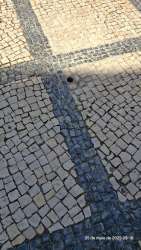 Photo of this report