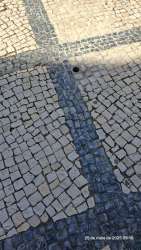 Photo of this report