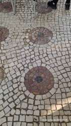 Photo of this report