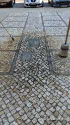 Photo of this report