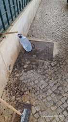 Photo of this report