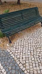 Photo of this report