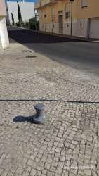 Photo of this report