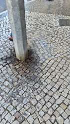 Photo of this report