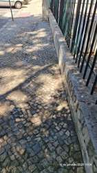 Photo of this report