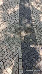 Photo of this report