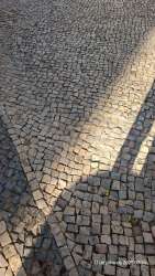 Photo of this report