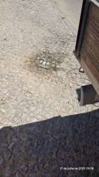 Photo of this report