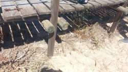 Photo of this report