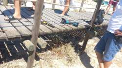 Photo of this report