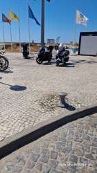 Photo of this report