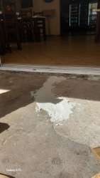 Photo of this report