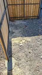 Photo of this report