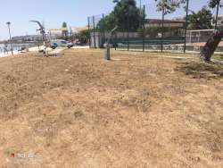 Photo of this report