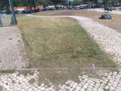 Photo of this report