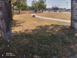 Photo of this report