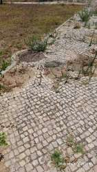 Photo of this report