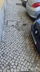 Photo of this report