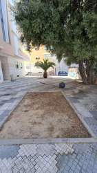 Photo of this report