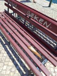 Photo of this report