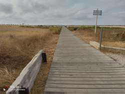 Photo of this report