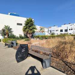 Photo of this report