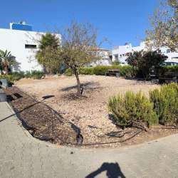 Photo of this report