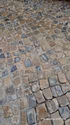 Photo of this report