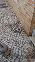 Photo of this report