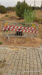 Photo of this report