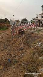 Photo of this report