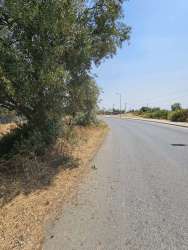 Photo of this report