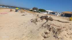 Photo of this report