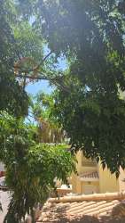 Photo of this report