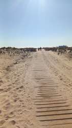 Photo of this report