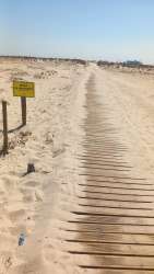 Photo of this report