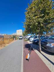 Photo of this report