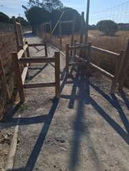 Photo of this report