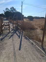 Photo of this report