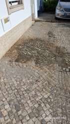 Photo of this report