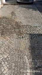 Photo of this report