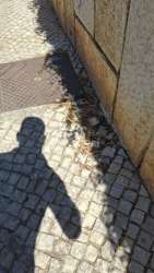 Photo of this report