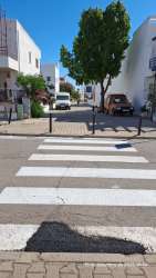 Photo of this report