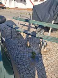 Photo of this report